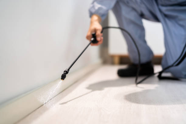 Licensed Mosquito Control service in Freeland, WA - Show Me Pest Control