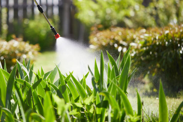 24/7 Emergency Mosquito Control experts in Freeland, WA